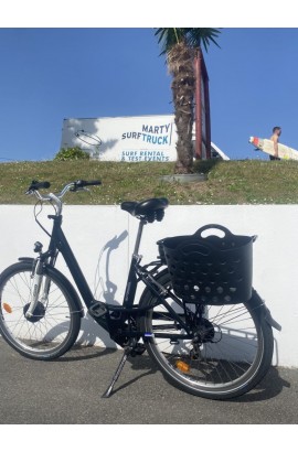 Beach Basket